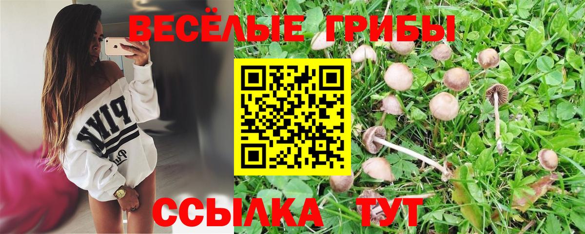 Псилоцибиновые грибы Magic Shrooms Корсаков